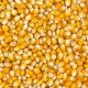 Žlutá kukuřice Cribbs č. 78 - 25 kg